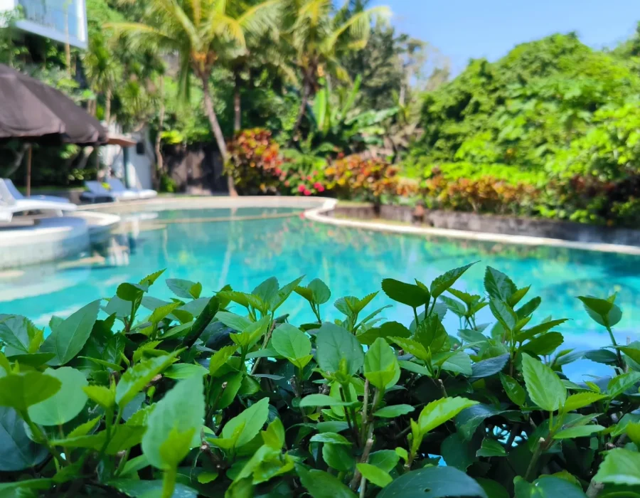 Pool at Ubud Corner 88 Villas